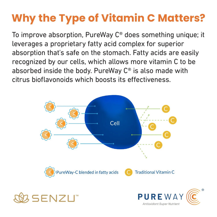 Infographic: Senzu Health 5-in-1 Immunity Support uses PureWay C®, a vitamin C blended with fatty acids and citrus bioflavonoids for superior absorption and immune support vs. traditional vitamin C. Senzu and PureWay C® logos featured.