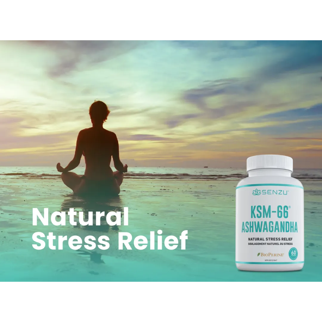 A person meditates on the beach at sunset. In front, a bottle of Senzu Health KSM-66 Full-Spectrum Ashwagandha appears with the words: Natural Stress Relief from organic ashwagandha capsules.