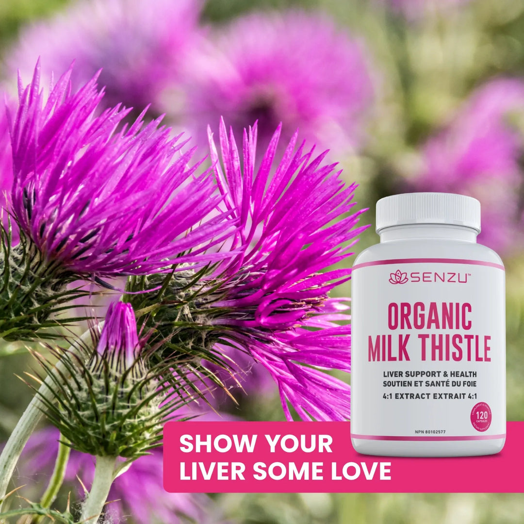 A bottle of Senzu Health Organic Milk Thistle 4:1 Extract is displayed before vibrant milk thistle flowers, with text reading Show your liver some love and give it natural liver support.