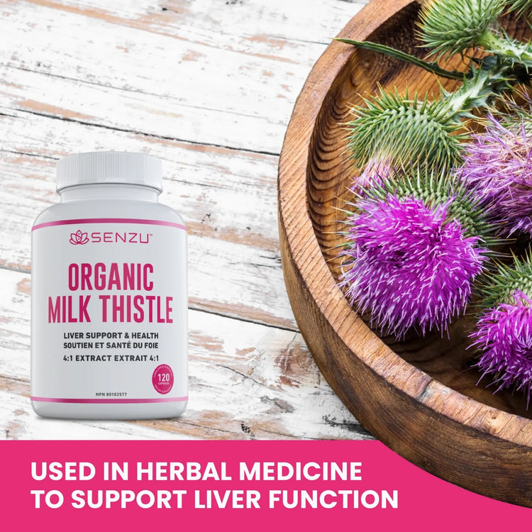 A bottle of Senzu Health Organic Milk Thistle 4:1 Extract sits beside a wooden bowl of fresh milk thistle flowers. Text below reads: Traditionally used in herbal medicine to support liver health.
