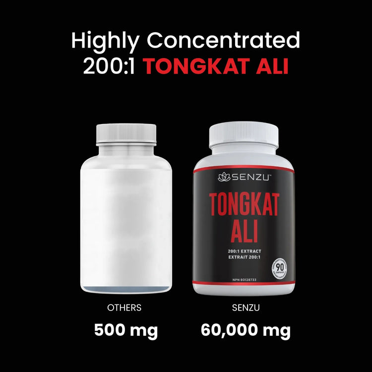 Two supplement bottles on a black background—left is labeled Others 500mg; right says Senzu Health Tongkat Ali 60,000mg. Text above: Highly Concentrated 200:1 Tongkat Ali—an ultimate stamina supplement for peak performance.