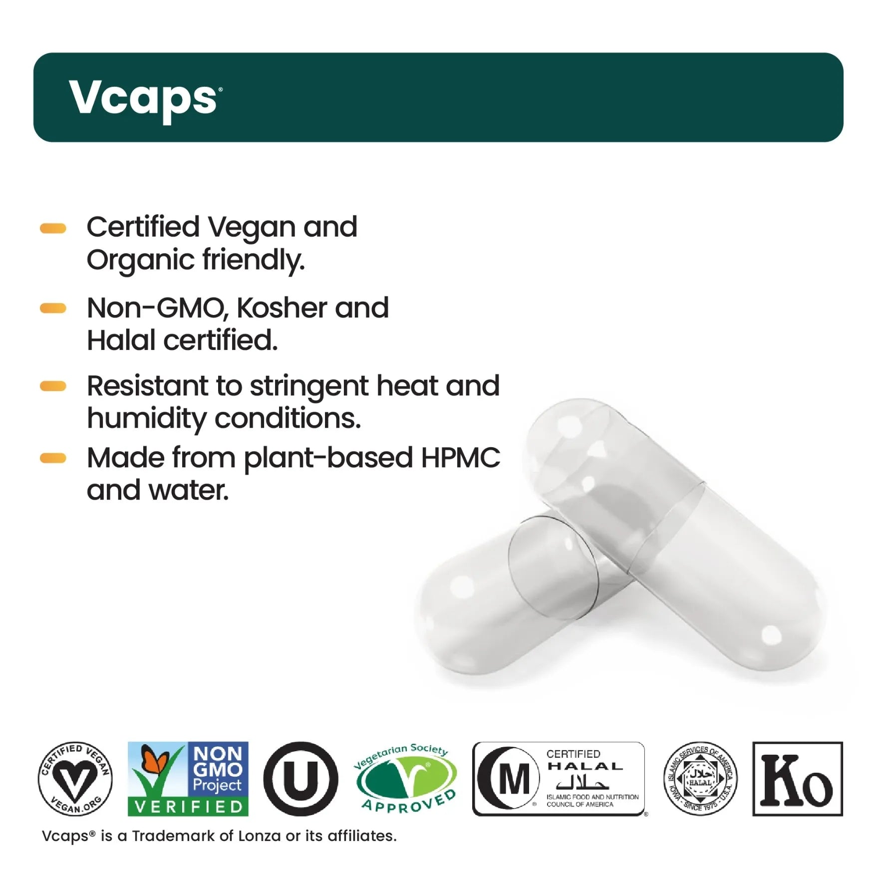 Image of two transparent capsules labeled: Senzu Health L-Theanine 250mg. Certified Vegan, Organic friendly, Non-GMO, Kosher & Halal. Made from plant-based HPMC and water for relaxation support. Certification logos shown.