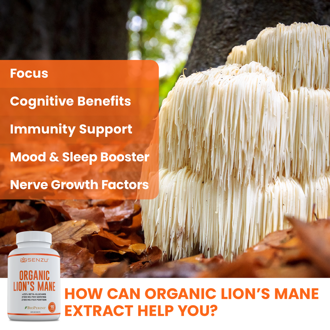 A cluster of Organic Lions Mane mushrooms grows in a forest with a Senzu Health Organic Lions Mane supplement bottle in the foreground. Text highlights cognitive support, immunity, mood and sleep, and nerve growth. How can this extract help you?.