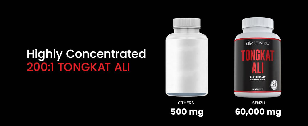 Two supplement bottles side by side: one labeled Others 500 mg, the other Senzu Health Tongkat Ali 60,000 mg. Text reads: Highly Concentrated 200:1 Senzu Health Tongkat Ali for enhanced exercise performance and stamina.