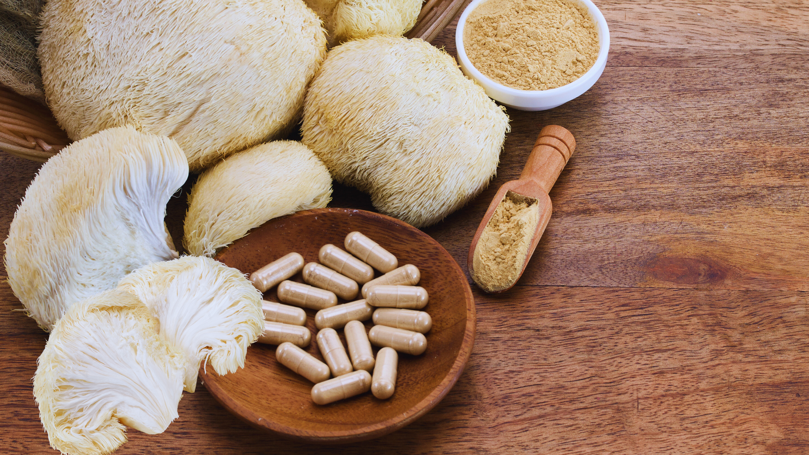 Lion’s Mane Extract: Everything You Need to Know
