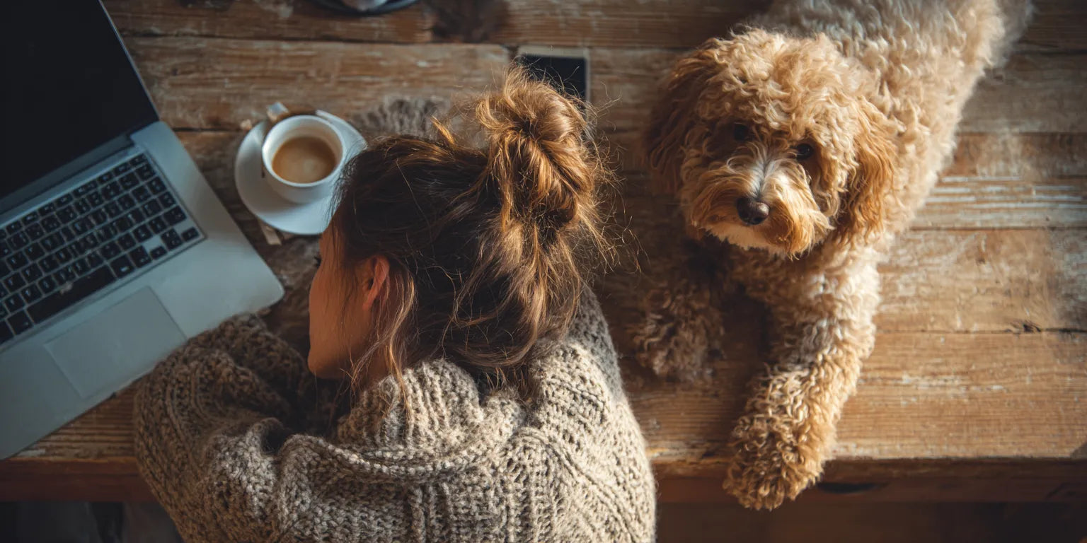 Supplements for the Modern Work-From-Home Lifestyle: Addressing New Health Challenges