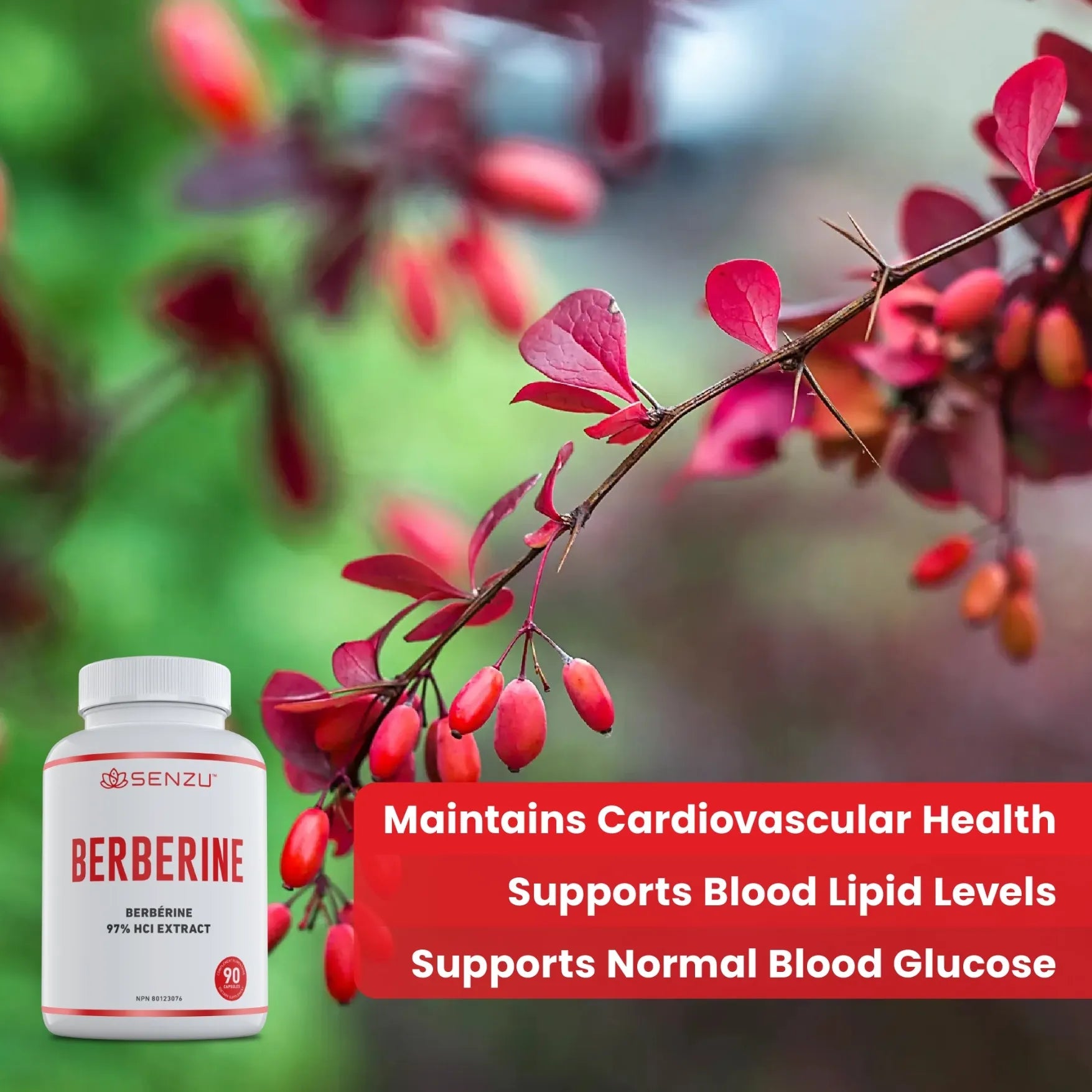 Senzu Health | Natural Supplements You Can Trust