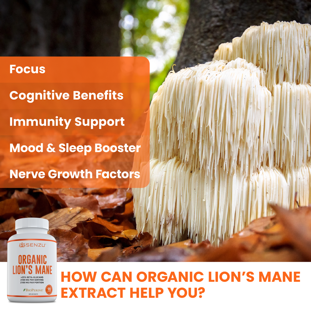 Organic Lion's Mane