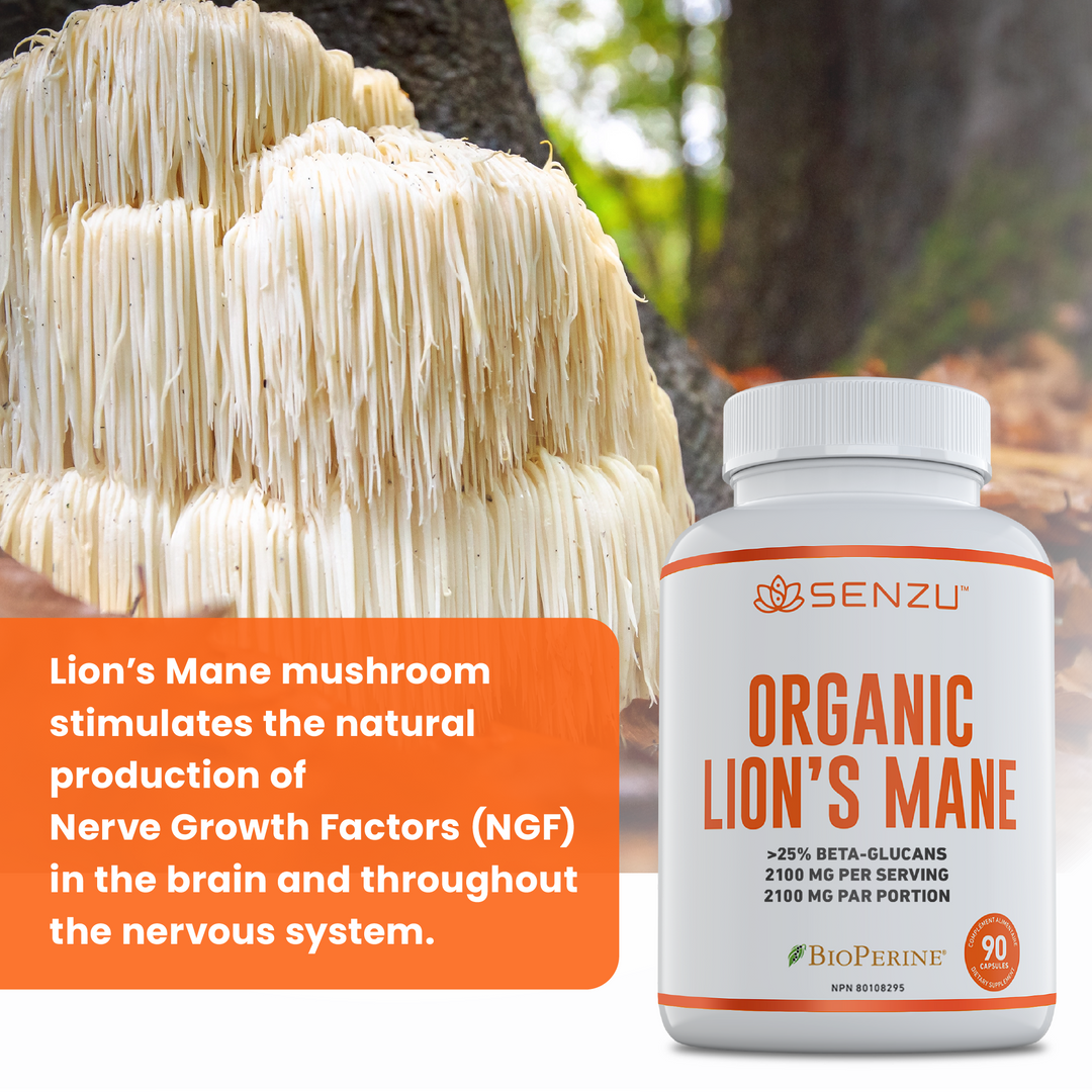 Organic Lion's Mane