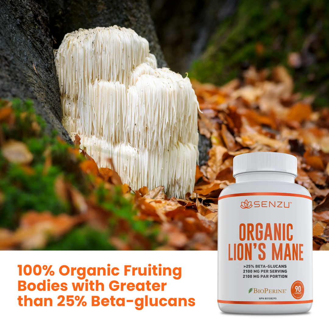 Organic Lion's Mane