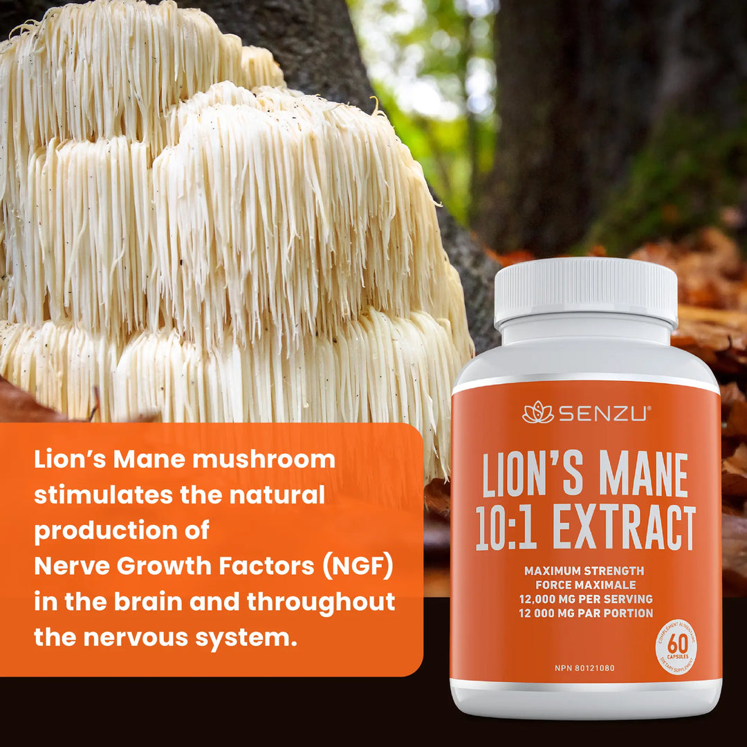 A cluster of Lion’s Mane mushrooms grows outdoors beside a bottle of Senzu Health Lions Mane 10:1 Extract. Text describes how Lion’s Mane supports nerve growth factors in the brain and nervous system.